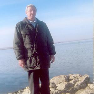 Парни в Оренбурге: Анатолий, 77 - ищет девушку из Оренбурга