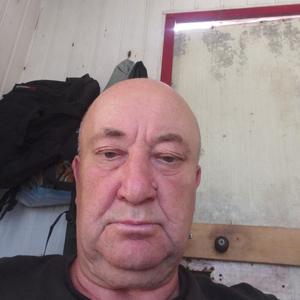 Виталий, 61 год, Краснодар