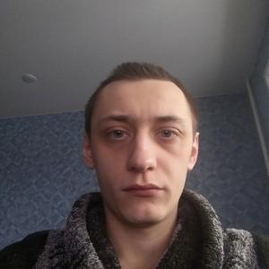 Александр, 33 года, Электросталь