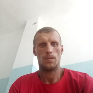 Олег, 36 лет, Приморский