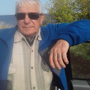 Владимир, 69 лет, Хвалынск