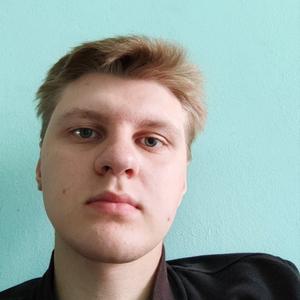 Максим, 23 года, Димитровград