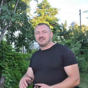Андрей Яковлев, 40 лет, Курган