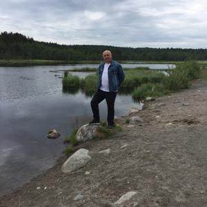 Парни в Мурманске: Евгений, 63 - ищет девушку из Мурманска