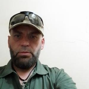 Сергей, 49 лет, Белгород