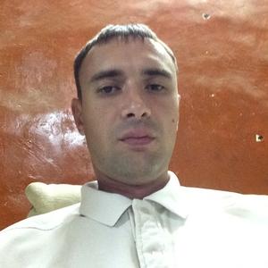 Александр Кураков, 36 лет, Калуга