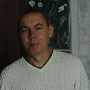 Александр Дмитриев, 45 лет, Воронеж