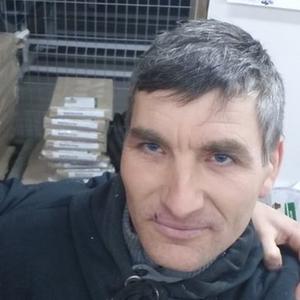 Iura Todirascu, 34 года, Кишинев
