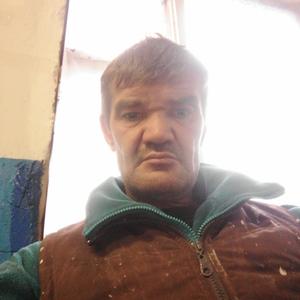 Василий, 43 года, Могилев