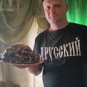 Сергей, 46 лет, Шатура