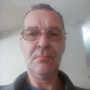Александр Владыкин, 54 года, Нижний Тагил