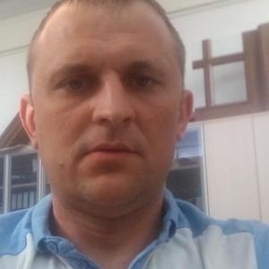 Александр Негородов, 43 года, Мытищи