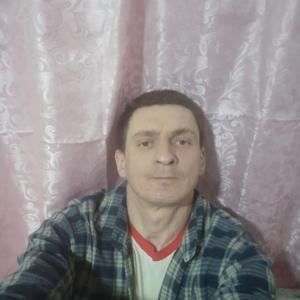 Василий, 36 лет, Тотьма
