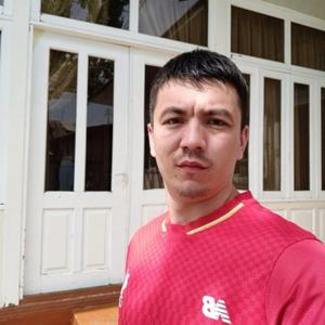 Али, 29 лет, Томск