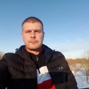 Сергей, 43 года, Губкинский