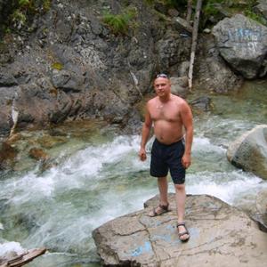 Анатолий, 42 года, Томск
