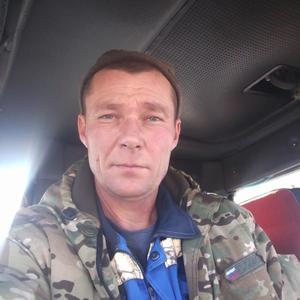 Андрей Палей, 45 лет, Магнитогорск