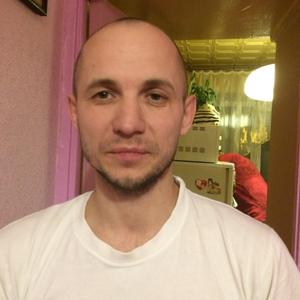 Александр, 44 года, Нижний Тагил