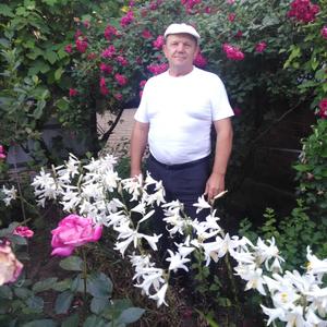 Михаил, 66 лет, Краснодар