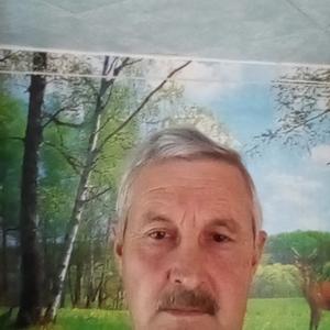 Игорь Панин, 59 лет, Борское