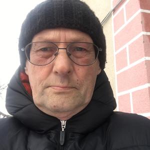 Анатолий, 64 года, Тольятти
