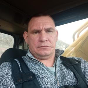 Владимир, 39 лет, Коряжма