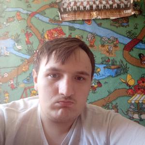 Радмил, 23 года, Челябинск