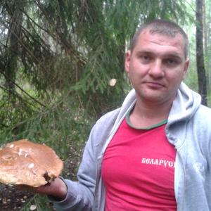 Парни в Минске (Беларусь): Алексей, 44 - ищет девушку из Минска (Беларусь)