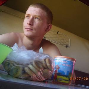Алексей, 36 лет, Киров