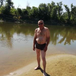 Василий, 63 года, Тула