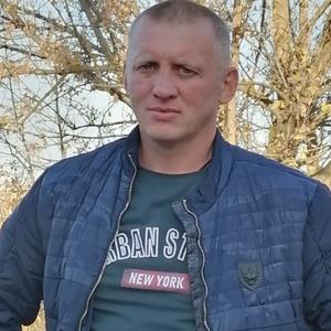 Парни в Нижний Новгороде: Сергей, 41 - ищет девушку из Нижний Новгорода