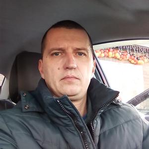 Алекс, 43 года, Барнаул