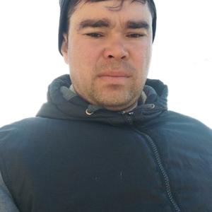 Альфред, 35 лет, Ташкент