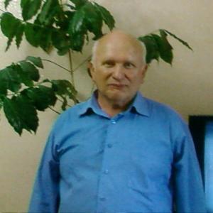 Александр Иванов, 76 лет, Майкоп