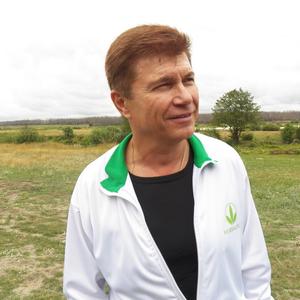 Александр, 64 года, Воронеж