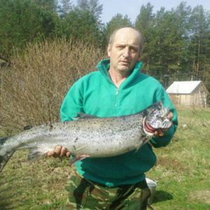 Владимир Трома, 66 лет, Санкт-Петербург