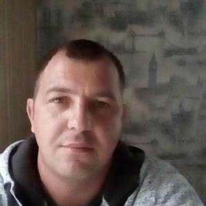 Владимир, 42 года, Новая Усмань
