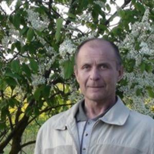 Парни в Гатчине: Олег, 54 - ищет девушку из Гатчины