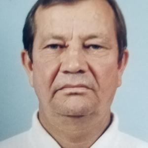 Анатолий, 74 года, Алексеевка