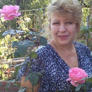 Светлана, 61 год, Краснодар