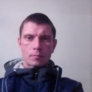 Сергей, 38 лет, Волоконовка