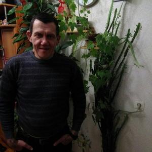Василий Бондаренко, 62 года, Санкт-Петербург