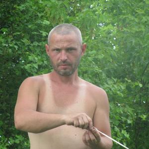 Павел, 43 года, Белгород