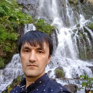 Ден, 37 лет, Ташкент