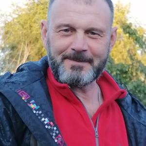 Алексей, 51 год, Саратов