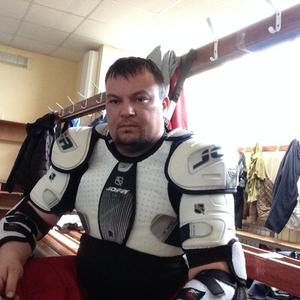 Серёга, 37 лет, Дмитров