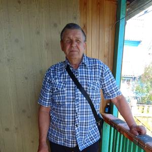 Геннадий, 74 года, Иркутск