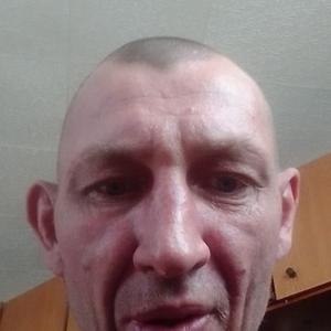 Вячеслав Тарасов, 42 года, Белебей