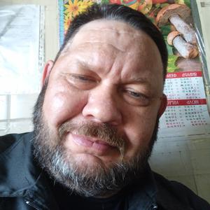 Igor Kiridov, 51 год, Владимир