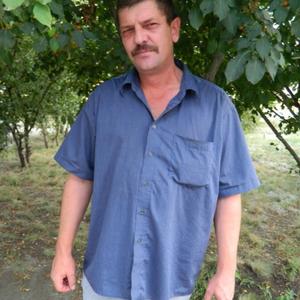 Леонтий Ганьшин, 48 лет, Троицк